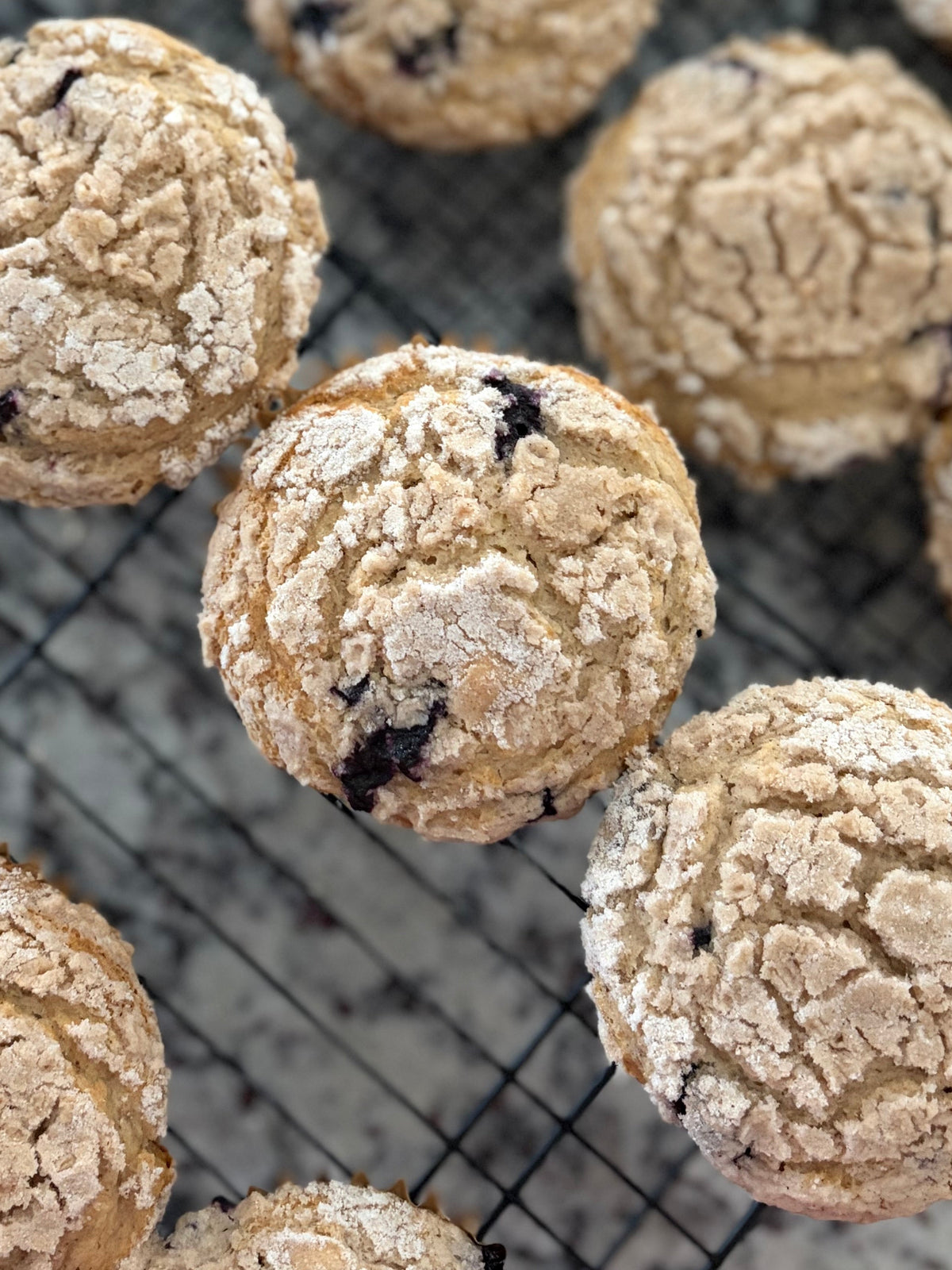Jumbo Muffins